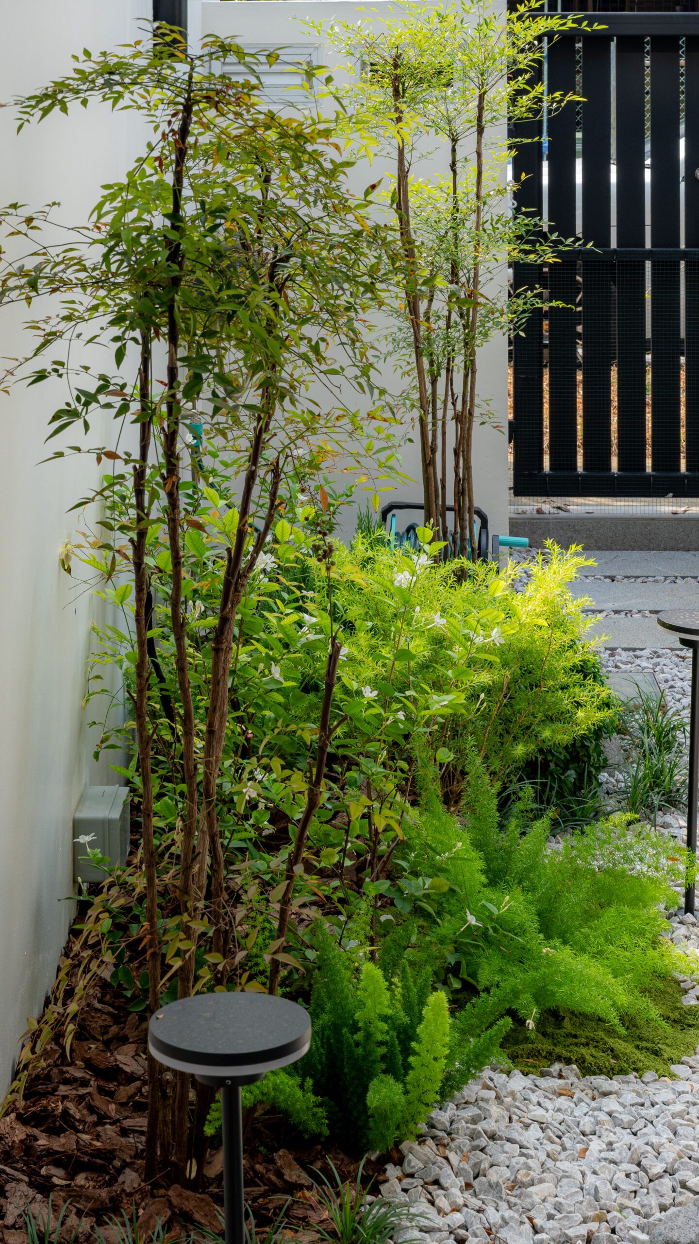 Slender trees and layered foliage beside the stepping-stone approach to the entrance gate.