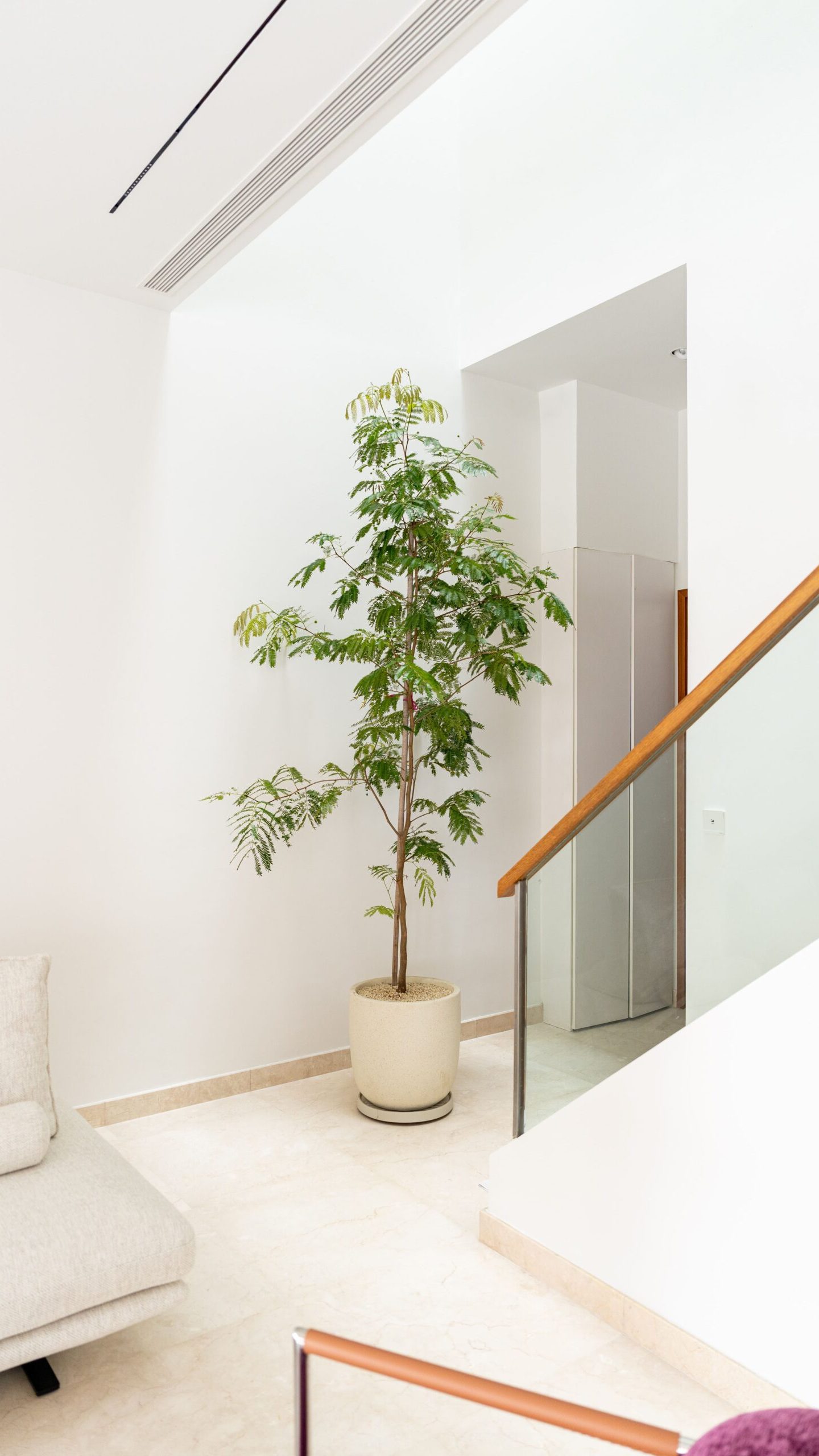 Tall potted tree beside the staircase and living-area seating.