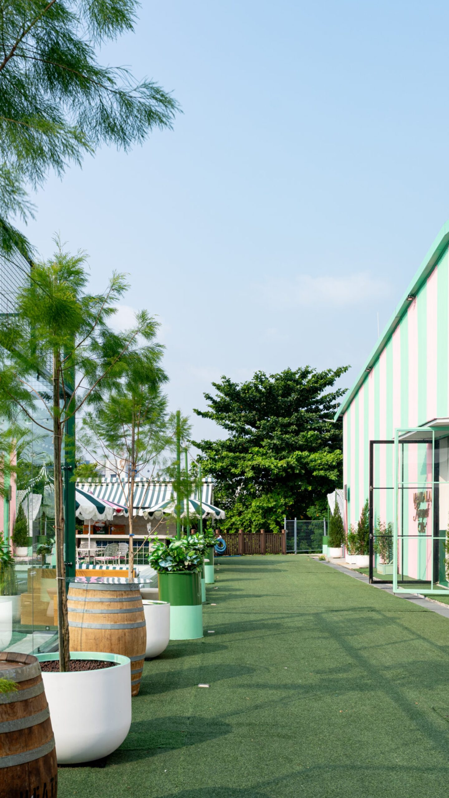 Potted trees beside the glass court enclosure and planting along the pink-and-mint building.